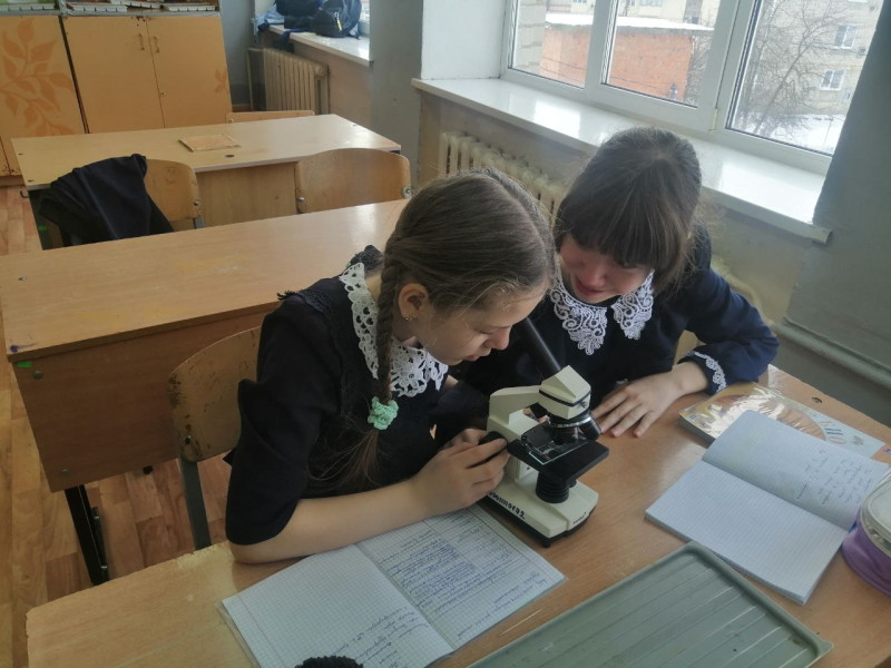 Изучение строения микроскопа.
